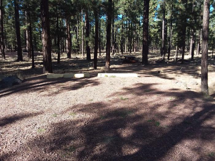 Bear Loop Site 81 partially shaded with picnic table and campfire pit