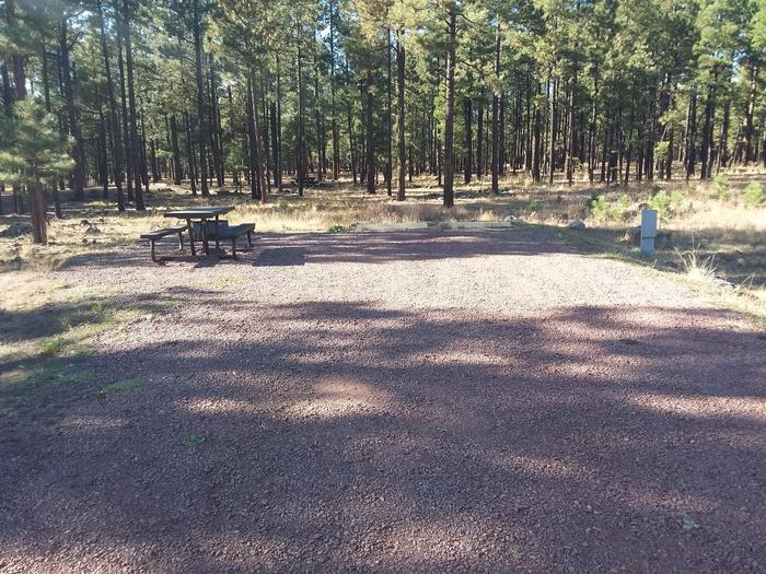 Bear Loop Site 83 partially shaded with picnic table and campfire ring