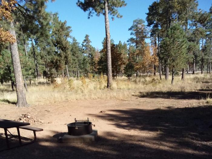 Site 21 with a picnic table, campfire ring, and parking.