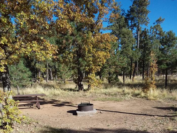 Site 22 with parking, a picnic table, and a campfire ring.
