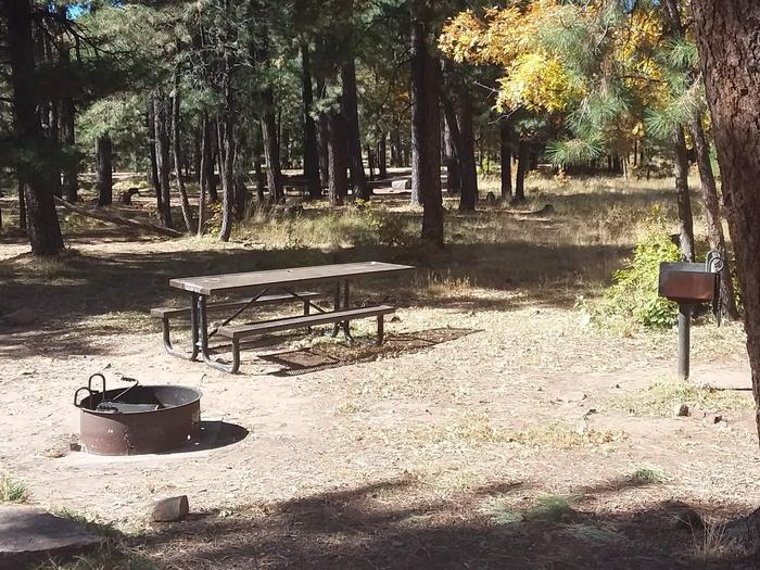 Site 78 with a campfire ring, table, and grill before a wooded area.Campsite 78