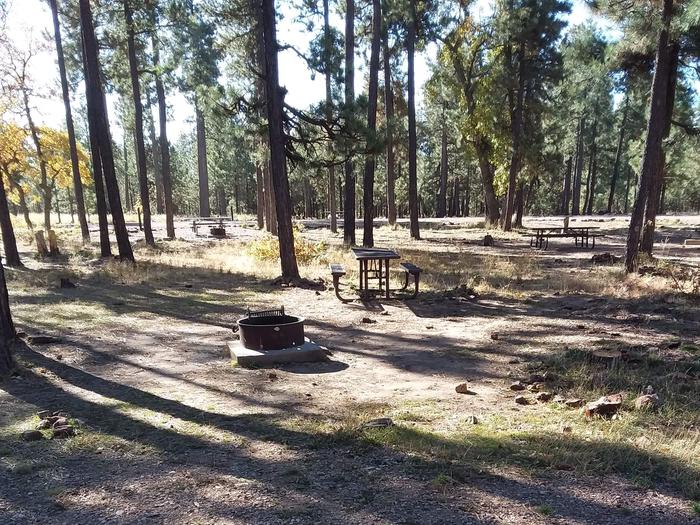 Site 23 with picnic table, parking, and fire ring.
