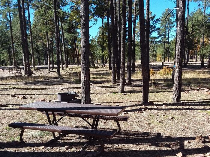 Site 24 with a picnic table, fire ring, and parking.