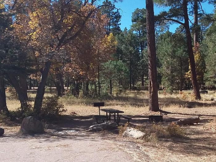 Site 79 with some shade over the table, grill, and fire ring. Campsite 79