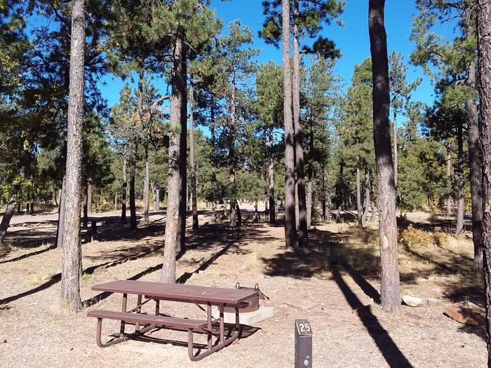 Site 25 with a picnic table, fire ring, and parking.