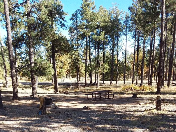Site 26 with a picnic table, fire ring, and parking.
