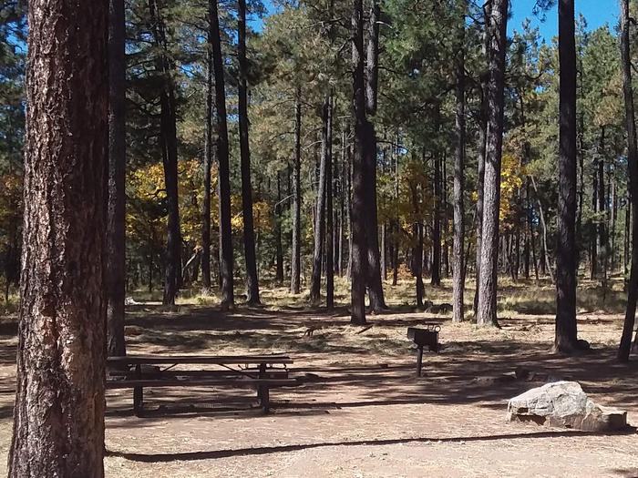 Site 81 With trees, a table, grill, and a rock.Campsite 81