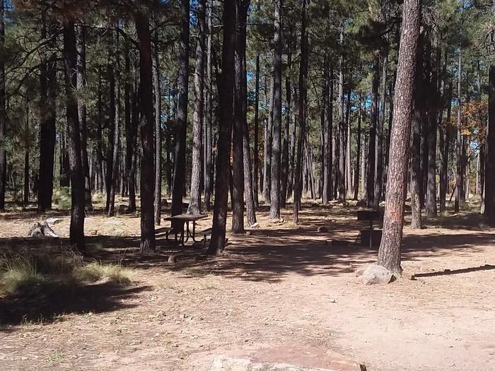 Site 87 with a table in the shade, surrounded by trees.Campsite 87 With table, grill, and fire ring.