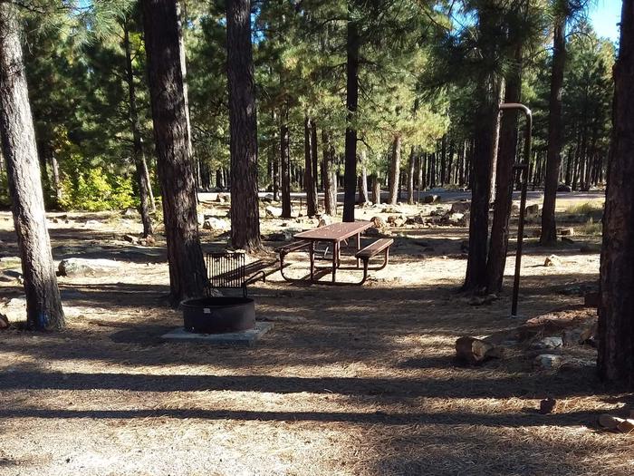 Site 15 with a picnic table, campfire ring, lantern pole, and parking.