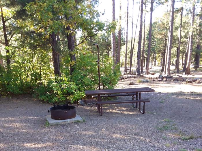 Site 17 with a picnic table, campfire ring, lantern pole, and parking.