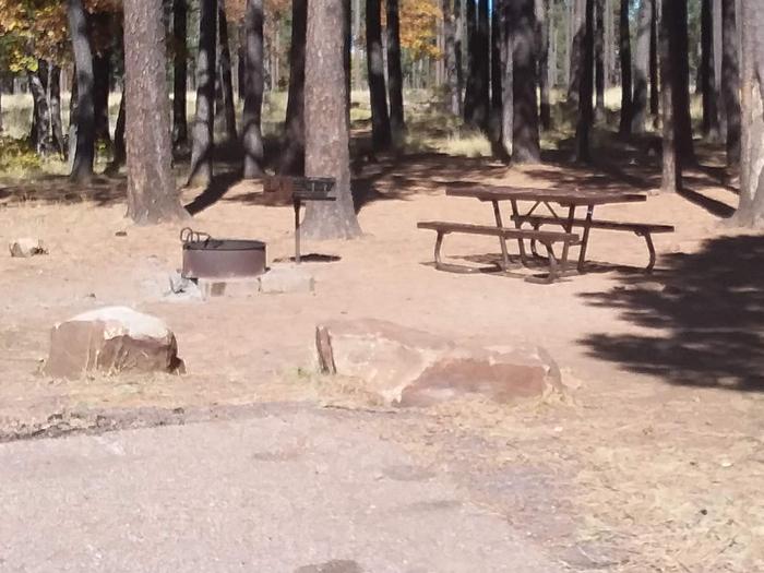 Site 92 table, grill, and campfire ring in front of trees.Campsite 92