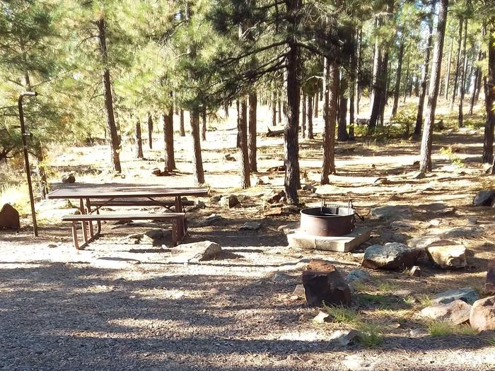 Site 20 with parking, a campfire ring, lantern pole, and a picnic table.