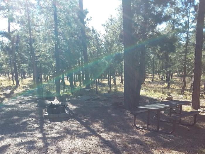 Site 21 with a picnic table, campfire ring, lantern pole, and parking.