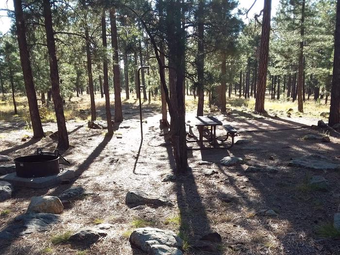 Site 22 with parking, a picnic table, lantern pole, and a campfire ring.