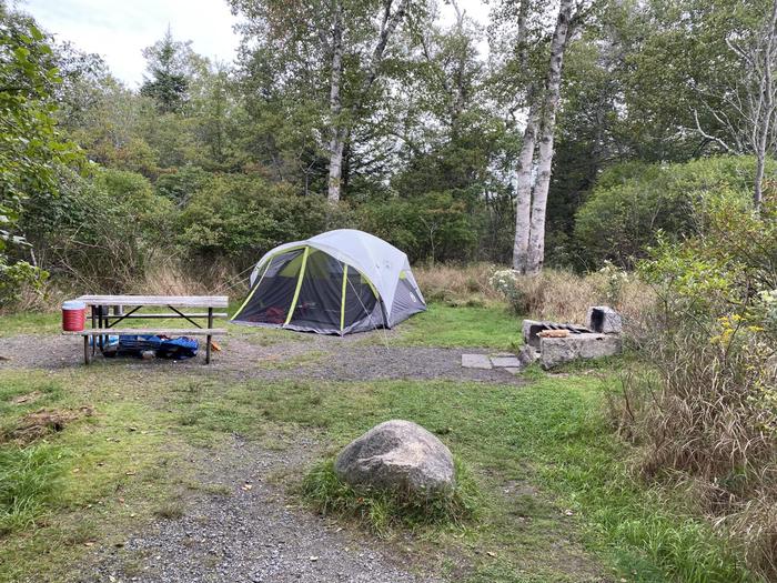 Site A17 with 4 person tent
