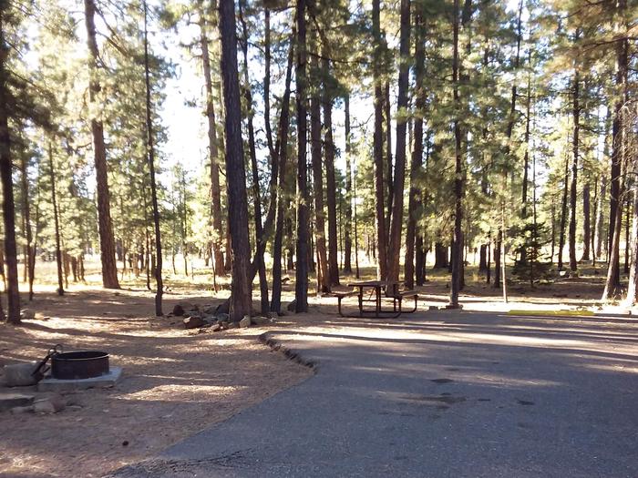 Campsite 18 with a picnic table and campfire ring, partially shaded by surrounding forest