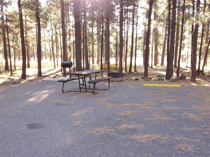 Campsite 20 with a picnic table, grill and campfire ring