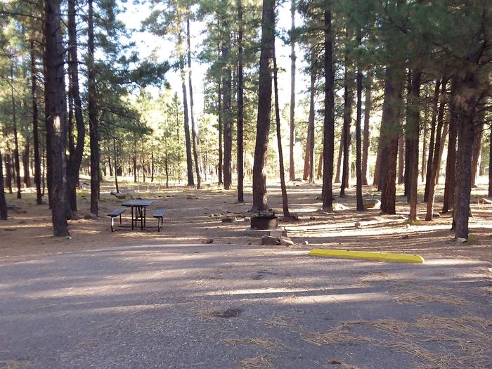Campsite 22 with a picnic table and campfire ring, partially shaded by surrounding forest