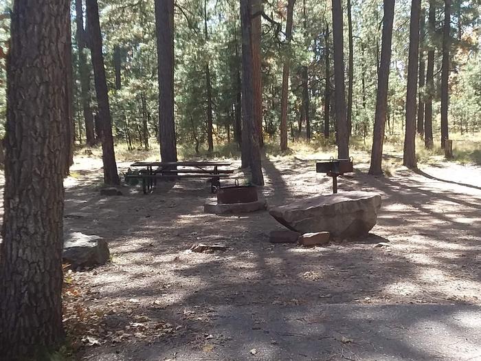 Site 96 around trees with a large stone, table, grill, and fire ring.Campsite 96