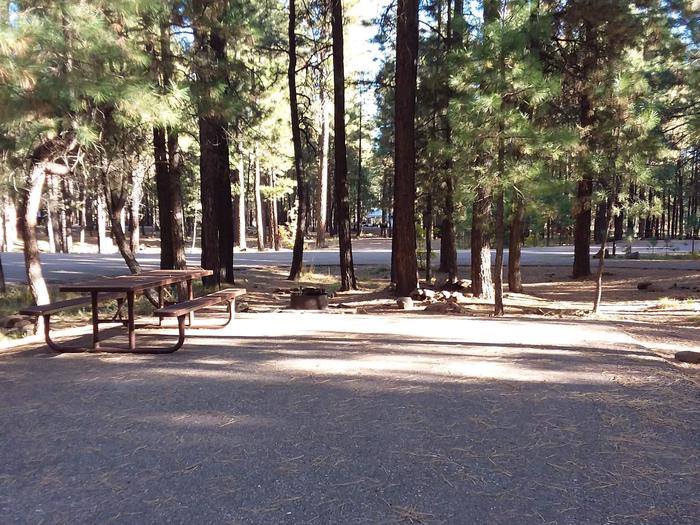 Campsite 25 with a picnic table and campfire ring, partially shaded by surrounding forest