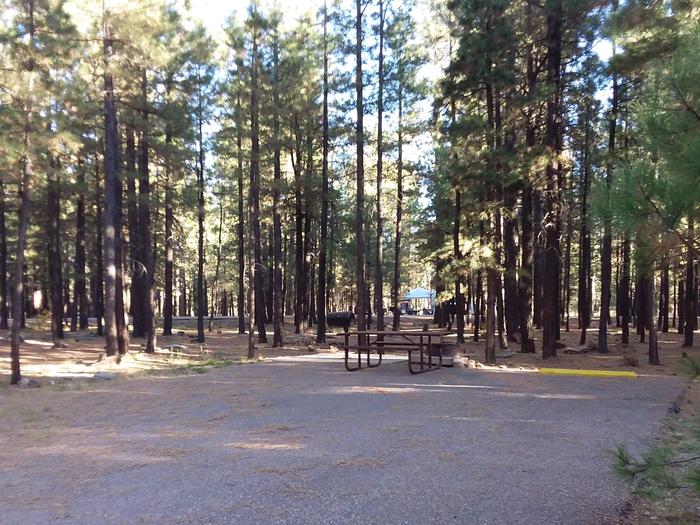 Campsite 24 with a picnic table, grill and campfire ring