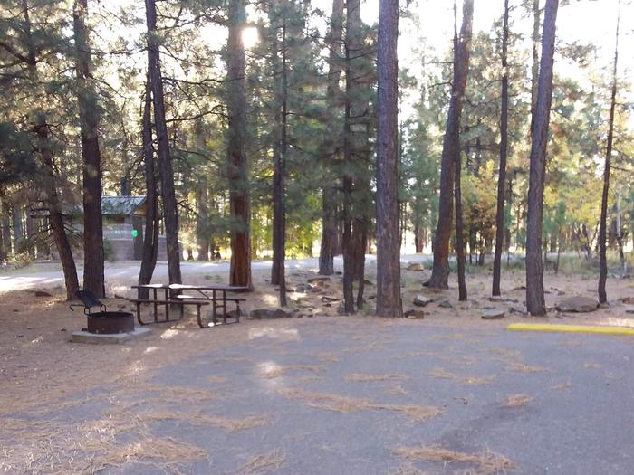 Campsite 26 with a picnic table and campfire ring, shaded by surrounding forest, and walking distance from restrooms