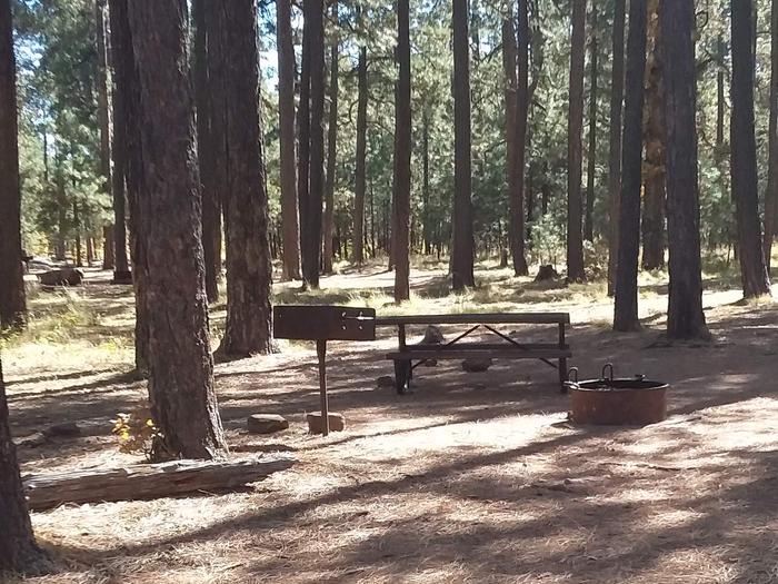 Site 97 with trees, grill, table and campfire.Campsite 97