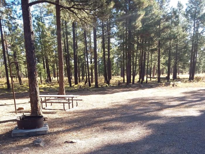 Site 23 with picnic table, parking, lantern pole and fire ring.