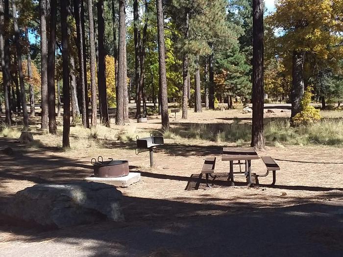 Site 98 in front of trees, with table, grill, and fire ring.Campsite 98