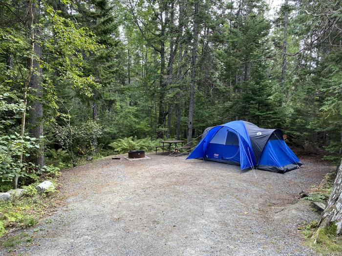 Site B6 with Tent
