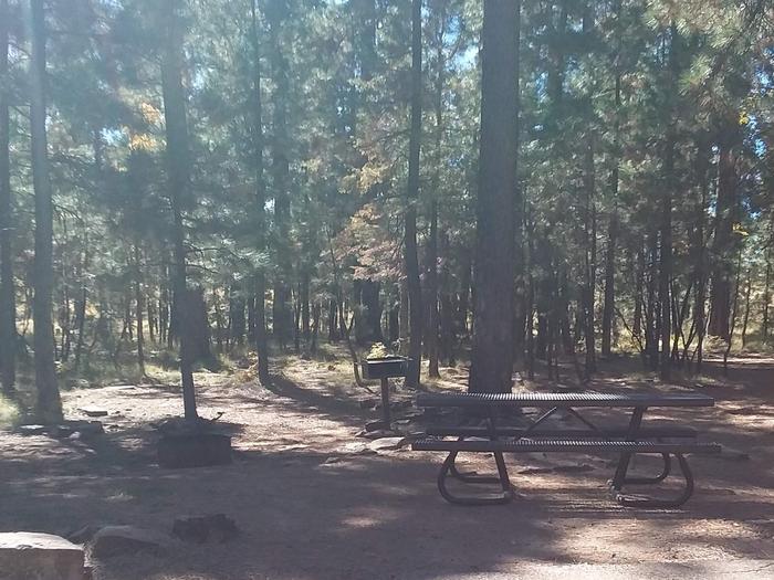Site 99 with table, grill, and fire pit in the shade of surounding trees.Campsite 99