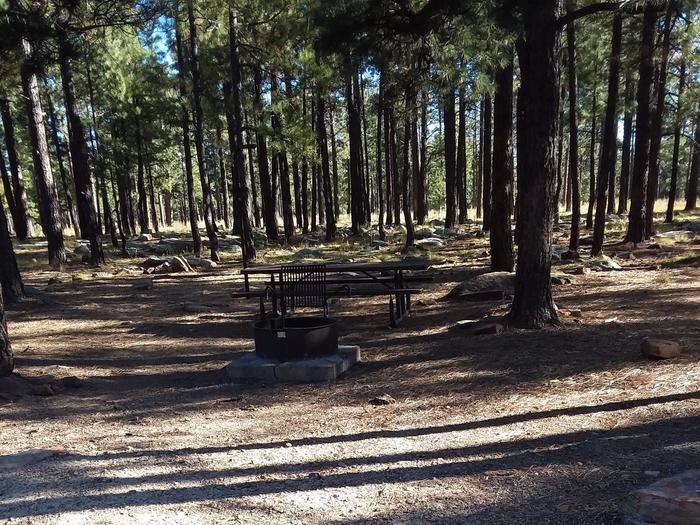 Site 24 with a picnic table, fire ring, lantern pole, and parking.