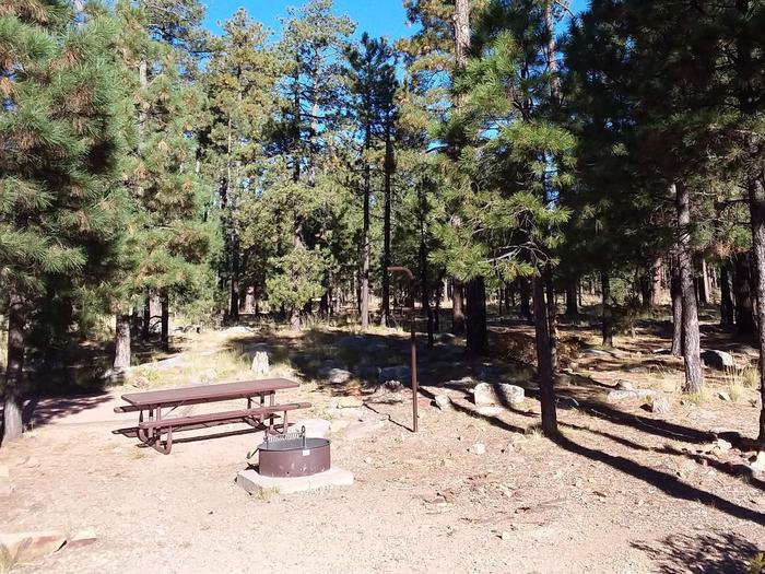 Site 26 with a picnic table, fire ring, lantern pole, and parking.