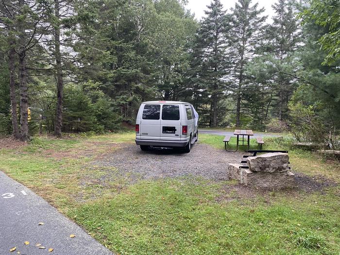 Site C31 with campervan
