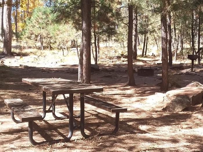 Site 106 table in front of a few trees and fire ring.Campsite 106