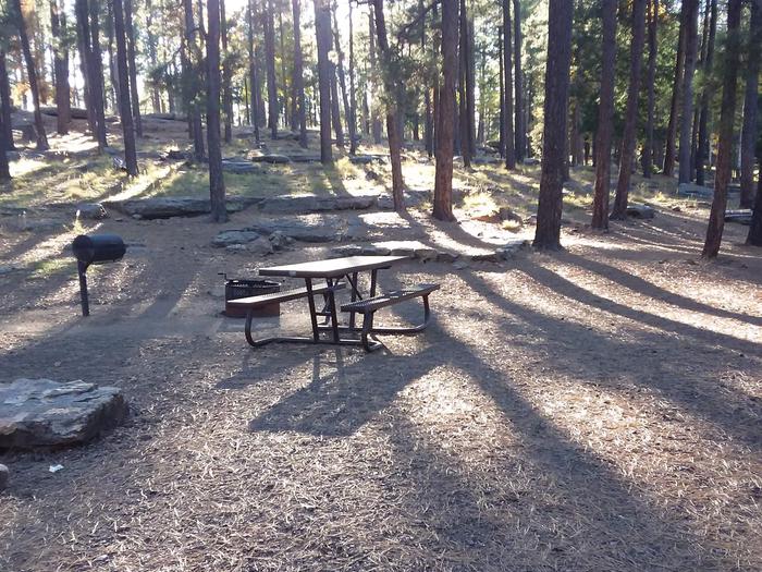Site 3 with a picnic table, fire ring, camp grill, and parking.