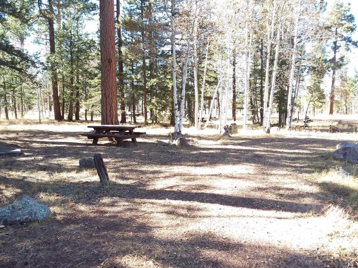Campsite 4 partially shaded with picnic table