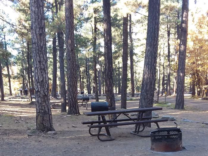 Site 6 with a picnic table, a campfire ring, parking, and camp grill.