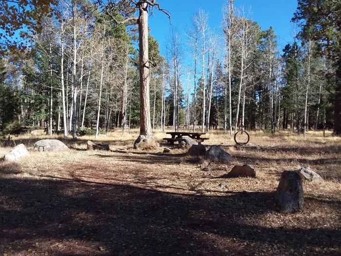 Campsite 9 with picnic table and campfire ring
