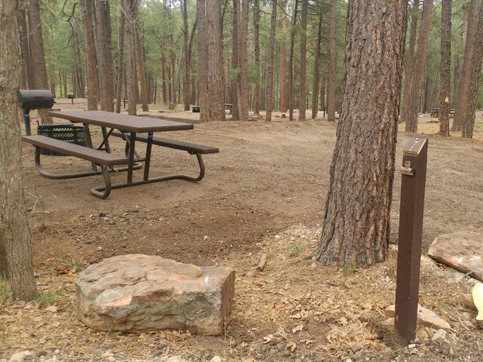 Site 7 with a campfire ring, picnic table, camp grill, and parking.