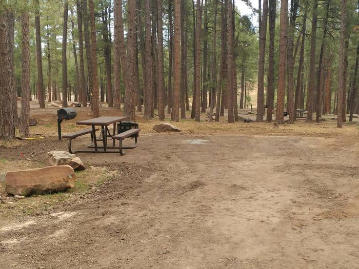 Site 8 with a picnic table, fire ring, camp grill and parking.