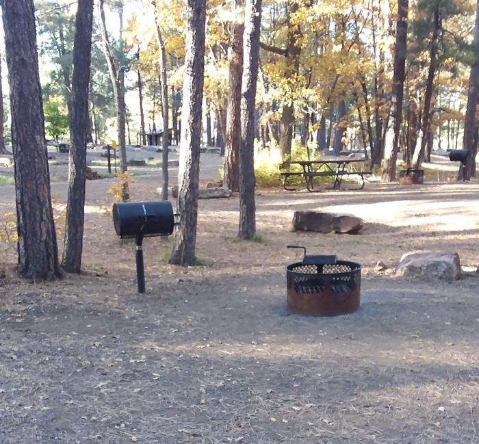 Camp grill and fire ring.