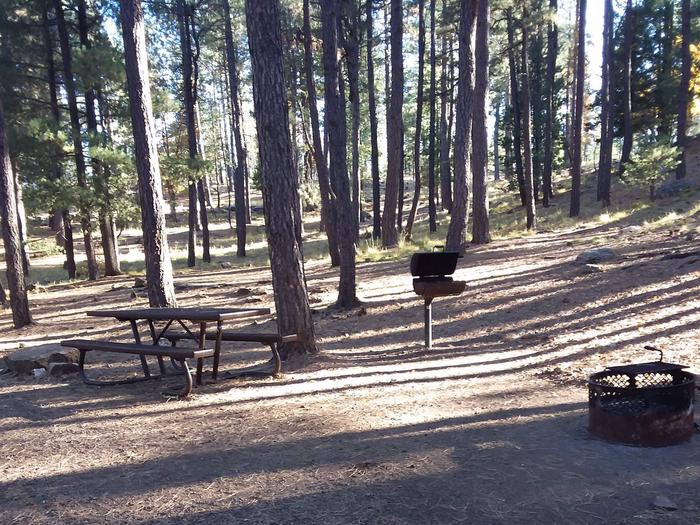 Site 9 with picnic table, campfire ring, camp grill, and parking.