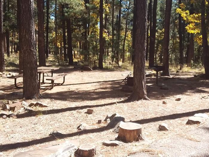 Site 110 behind two trees obscuring the table and campfire ring.Campsite 110 with table, fire pit, and grill.