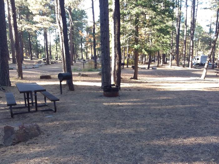 Site 10 with a picnic table, campfire ring, camp grill, and parking.Site 10 Spillway Campground Site 10 with a picnic table, campfire ring, camp grill, and parking.