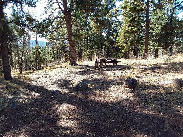 Campsite 24 partially shaded with picnic table, campfire ring and mountain view