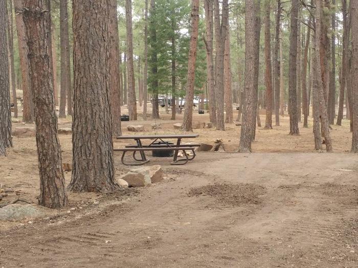 Site 12 with a picnic table, campfire ring, camp grill, and parking.