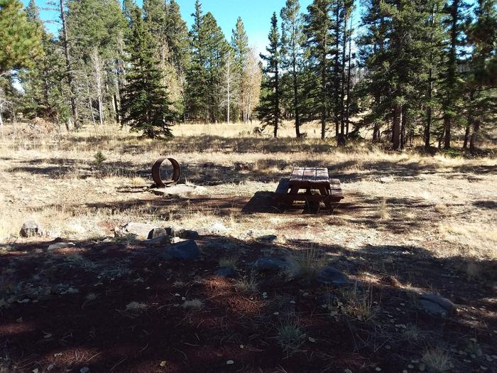 Campsite 30 with picnic table and campfire ring