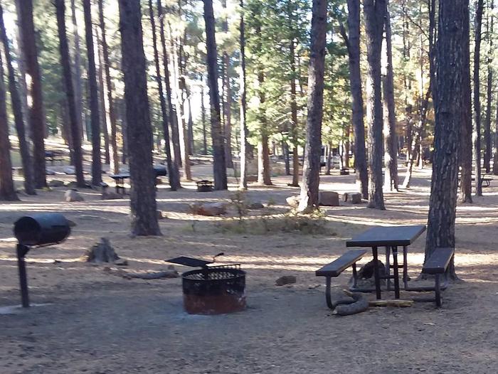 Site 12Site 12 with a picnic table, campfire ring, camp grill, and parking.