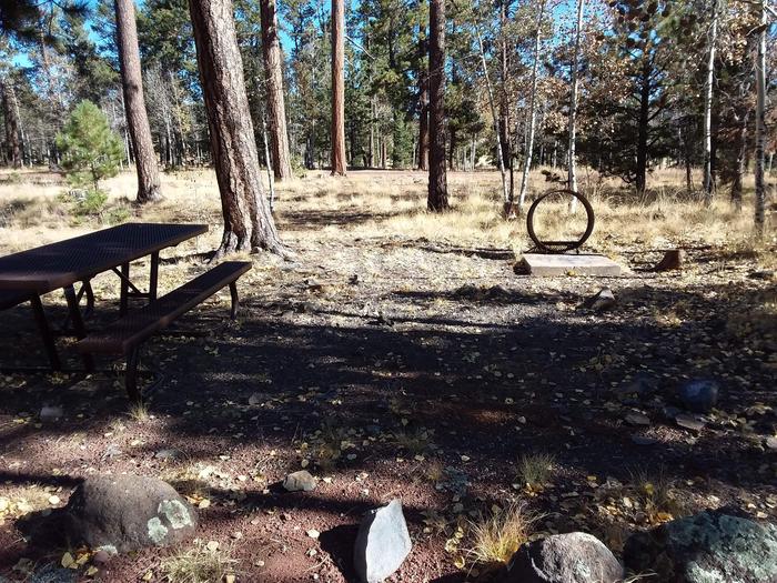 Campsite 34 partially shaded with picnic table and campfire ring